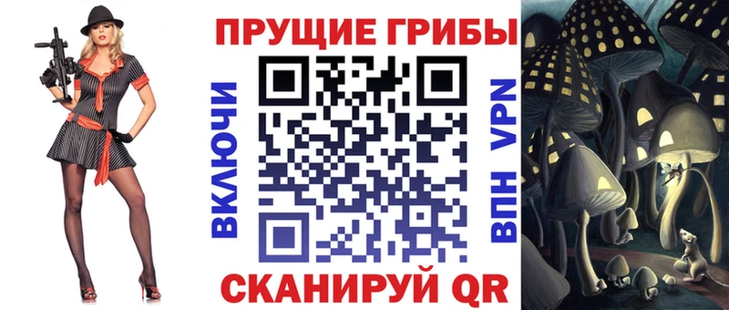 kraken маркетплейс  Топки  Галлюциногенные грибы MAGIC MUSHROOMS  как найти  