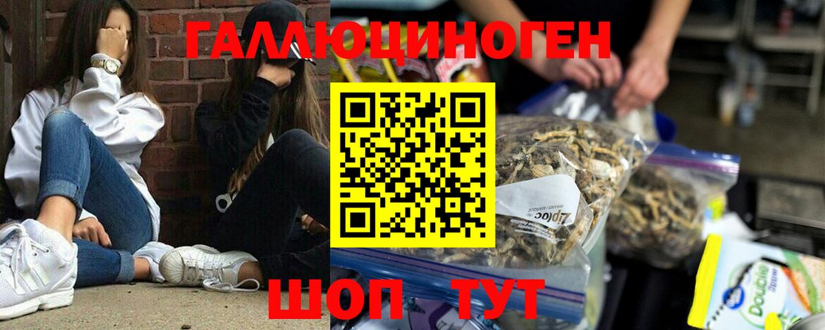Псилоцибиновые грибы Magic Shrooms  Псилоцибиновые грибы Magic Shrooms  Топки 