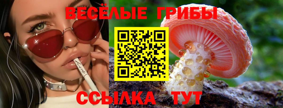 Топки  Галлюциногенные грибы Psilocybine cubensis  Псилоцибиновые грибы Magic Shrooms  Вход с VPN 